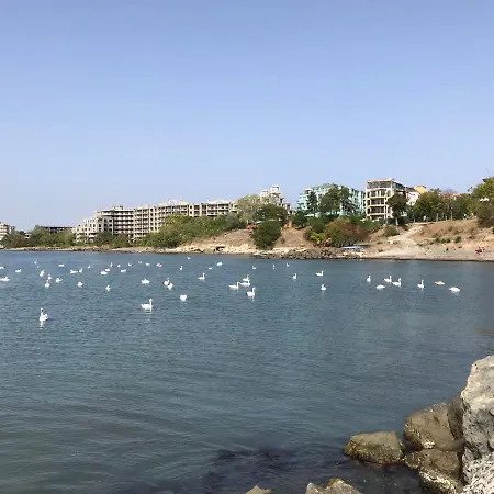 Apartman Floral, First Sea Line Coast