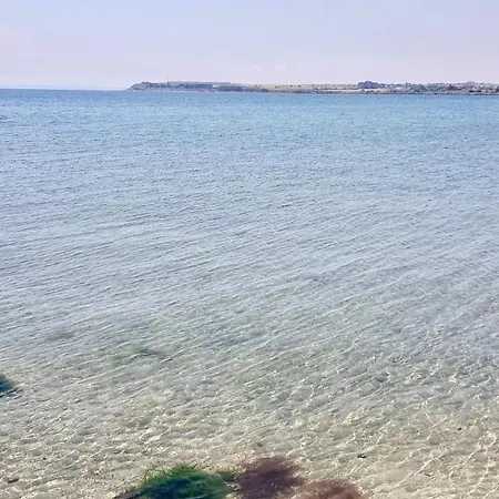 Floral, First Sea Line Coast