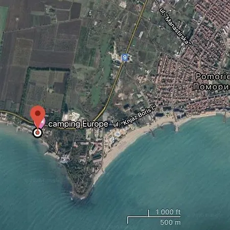 Floral, First Sea Line Coast