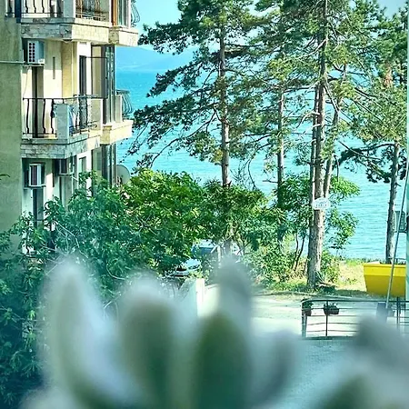 Floral, First Sea Line Coast Pomorie