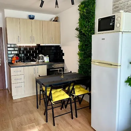 Apartman Floral, First Sea Line Coast Pomorie